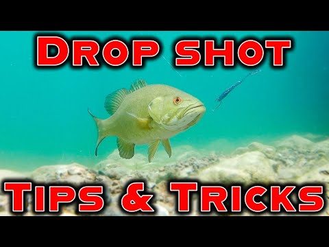 Mastering the Art of Drop Shot Techniques: A Comprehensive Guide